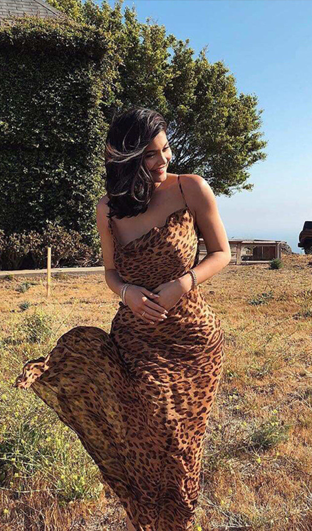 Leopar Desenli Uzun Elbise