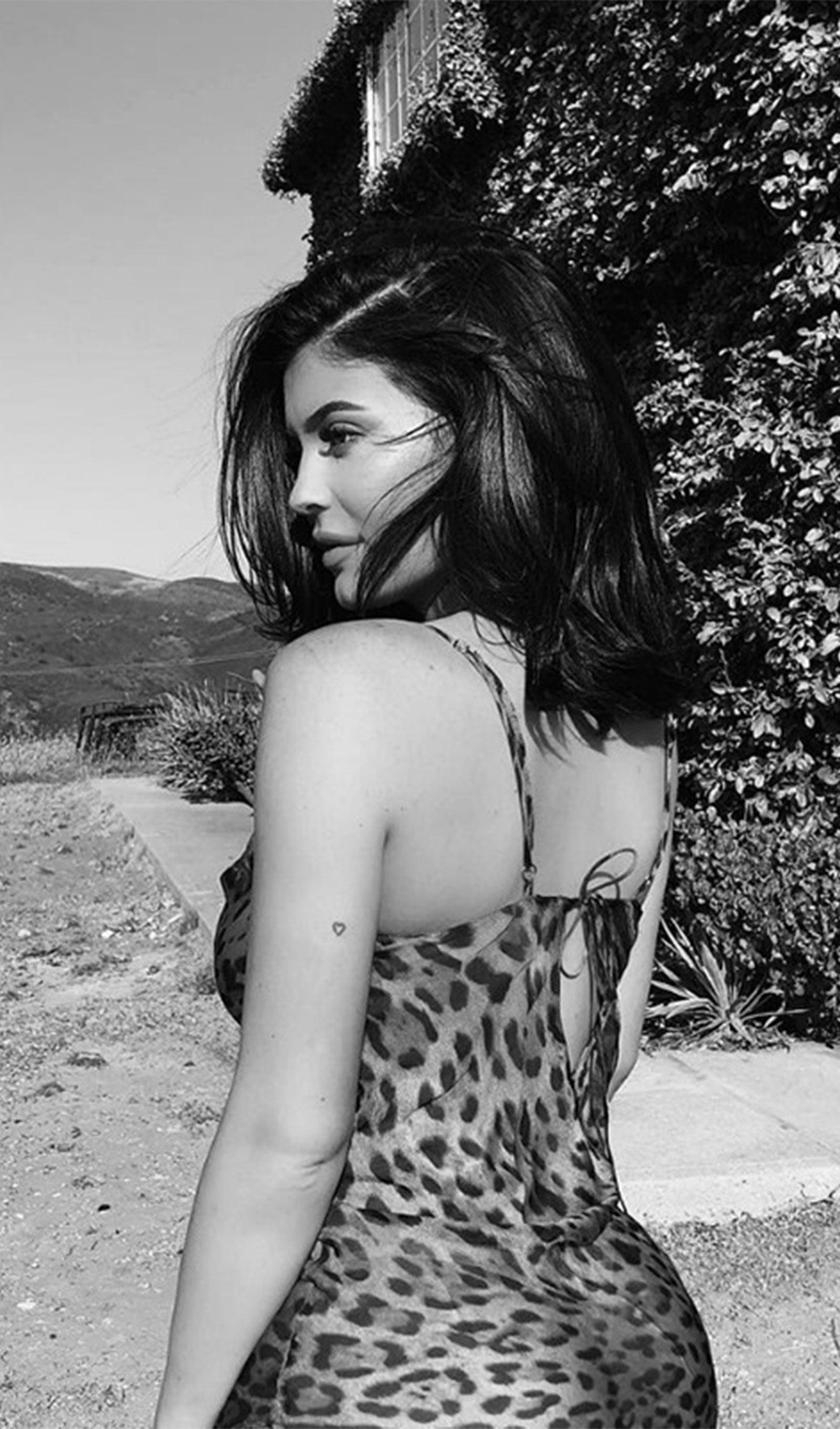 Leopar Desenli Uzun Elbise