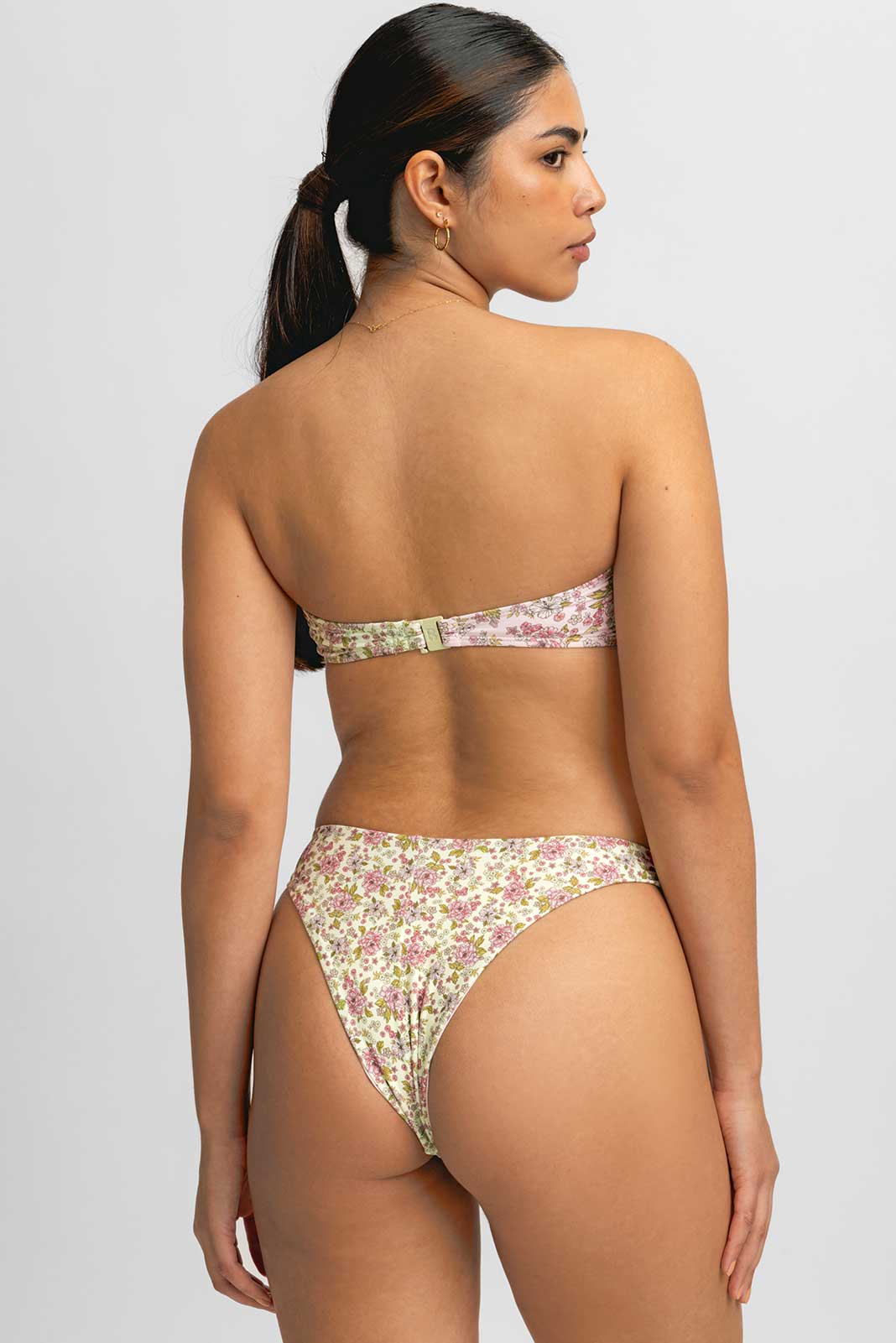 Alana Bantlı Üst / Flora and Fauna