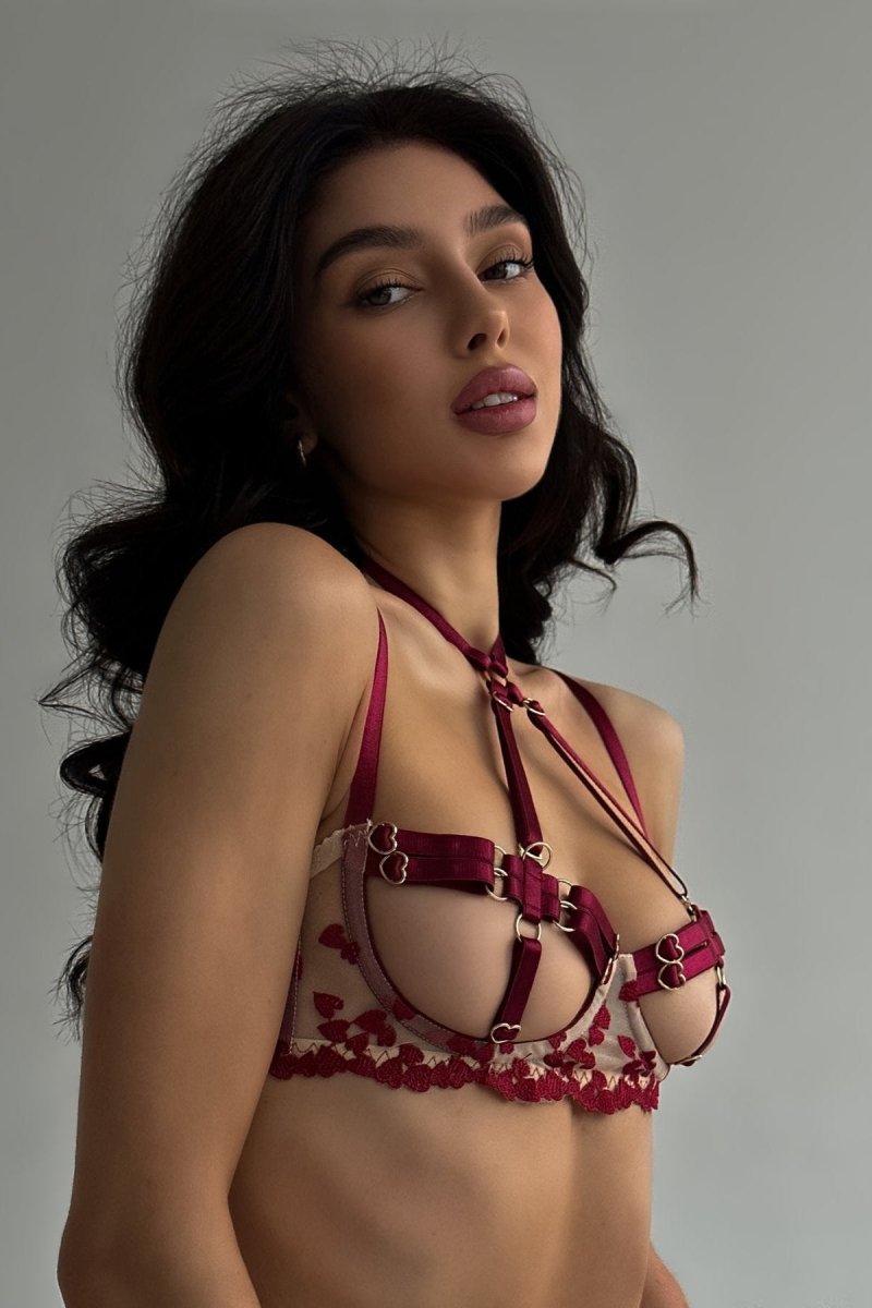 4 Parça Lingerie Takımı + Bacak Halkaları / AURORA